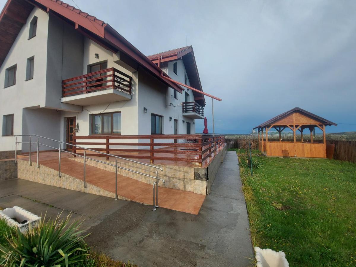 Pensiunea Lucian Baltati Exterior foto