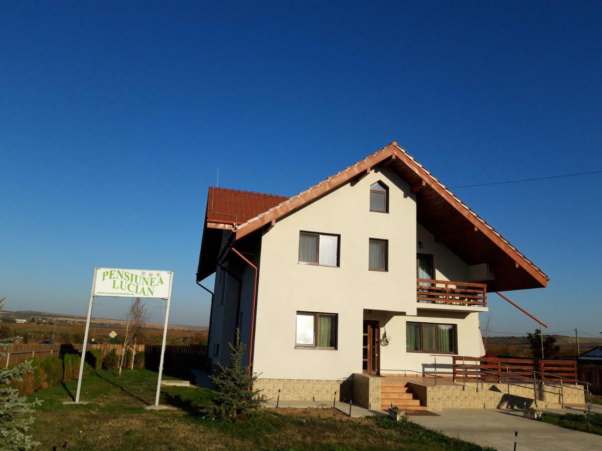 Pensiunea Lucian Baltati Exterior foto